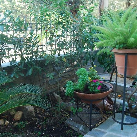 Affordable Luxury Garden Apartment Athens Ngoại thất bức ảnh