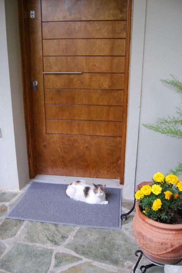 Affordable Luxury Garden Apartment Athens Ngoại thất bức ảnh