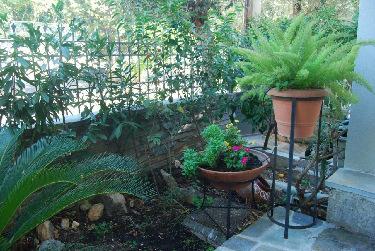 Affordable Luxury Garden Apartment Athens Ngoại thất bức ảnh